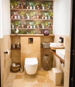a bathroom with a toilet and plants on shelves at Villa Piscine et Jaccuzzi - Vue Panoramique in Juillac +12 photos