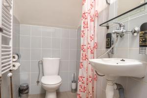 a bathroom with a toilet and a sink at Horská Chata Sabinka in Malá Morávka