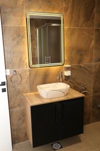 a bathroom with a sink and a mirror at GUZIJAN seosko domaćinstvo in Šipovo +40 photos