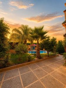 a driveway with palm trees in front of a house at Villa lumina , Marrakech in Oulad Mazoug