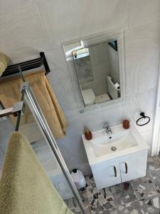 a bathroom with a sink and a mirror at Griffin Lodge in Warwick +7 photos
