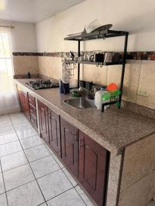 a kitchen with a sink and a counter top at Quinta San Agustin in Latacunga