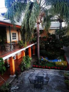 a courtyard with chairs and palm trees in a building at Hotel Mezvall in Morelia