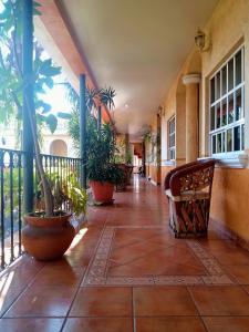 a hallway with potted plants in a building at Hotel Mezvall in Morelia
