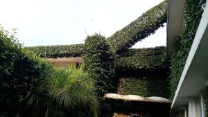 a building with a cross covered in ivy at Hotel Mezvall in Morelia