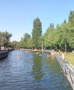 a group of people swimming in a river at Apartamentos ÍCARO in Plasencia