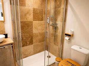 a bathroom with a shower and a toilet at Le cocondor - Design soigné et Parking facile in Montréjeau +3 photos