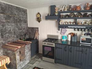 a kitchen with a stove and a counter top at Бабусині маєтки in Lazeshchyna
