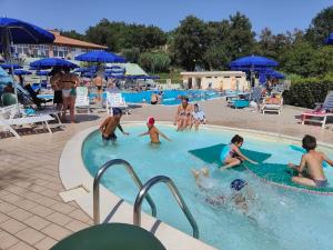 Eine Gruppe von Menschen spielt in einem Schwimmbecken in der Unterkunft Dimora Ferretti in Venarotta + 16 Fotos