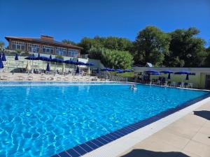 ein großer blauer Swimmingpool mit Liegestühlen und Sonnenschirmen in der Unterkunft Dimora Ferretti in Venarotta