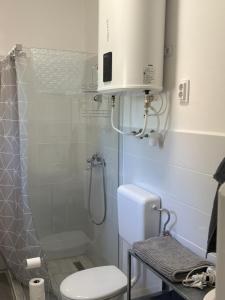 a bathroom with a toilet and a shower at Haromfa Apartman in Háromfa