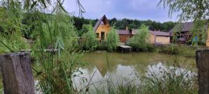 ein Haus, das neben einem Gewässer liegt in der Unterkunft Cabanuta Lunca in Lunca