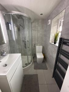 a bathroom with a shower and a toilet and a sink at Dream easy in Birmingham +8 photos