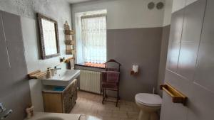 a bathroom with a sink and a toilet and a window at Casa Pal Piccolo - Apartment with garage for bikes and fast wifi in Paluzza
