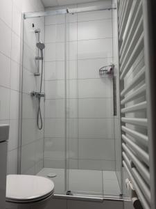 a bathroom with a glass shower with a toilet at Hansa Living 3 Hamburg - Ruhiges Zimmer mit Gemeinschaftsküche in Hamburg