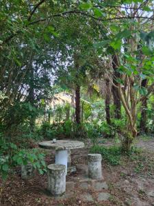 a picnic table in a garden with two stools at Gîte Habas in Habas
