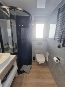 a bathroom with a shower and a toilet and a sink at Eifelchalet Mendig in Mendig +9 photos
