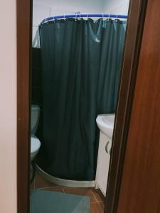 a bathroom with a green shower curtain and a toilet at Apartamenty nad Brdą in Zapędowo