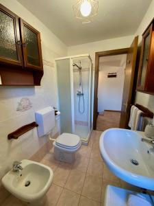a bathroom with a shower and a toilet and a sink at Castello Cottage in Argegno