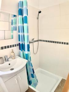 a bathroom with a sink and a shower at Apartmán Růžovka in Jaroměř