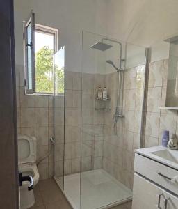 a bathroom with a shower with a toilet and a sink at Tirana Terminal Stay in Tirana