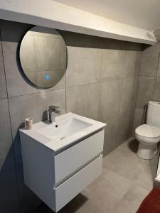 a bathroom with a sink and a toilet and a mirror at Maison Teiss in Aigues-Mortes