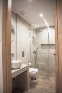 a bathroom with a toilet and a sink and a shower at Akrolithos apartments 1st floor in Platy