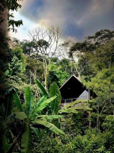 a house in the middle of a forest with trees at Chamanica in Coroico