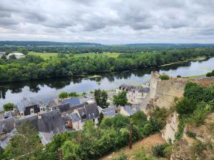 an aerial view of a town next to a river at Logis des gourmets in Hommes