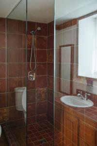 a bathroom with a shower and a sink at Triangle de l'île Chambre Familiale in Saint-Laurent-de-l'ile d'Orleans