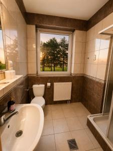 a bathroom with a sink and a toilet and a window at Zajazd Alicja in Nowe Bagienice +22 photos