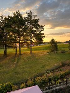 a view of a park with trees in a field at Zajazd Alicja in Nowe Bagienice