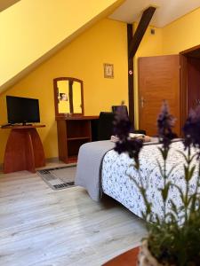 a room with a bed and a mirror and a tv at Zajazd Alicja in Nowe Bagienice