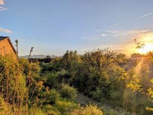 a view of a field with trees and a building at Campagne Vallauris gites in Vaumeilh +8 photos