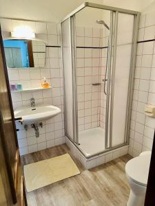 a bathroom with a shower and a sink and a toilet at Berghof Werfenweng in Werfenweng +12 photos