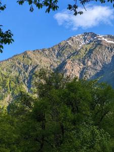 a mountain with trees in front of it at Utsera Veranda in Utsera +4 photos