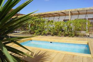 a small swimming pool with a wooden deck and a plant at Aloha Studio in La Oliva