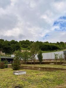a yard with a fence and trees in the background at Remizovka Mount in Almaty