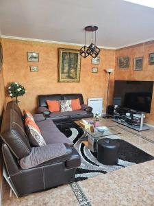 a living room with a leather couch and a television at Maison confortable à Ver-sur-Mer avec jardin privé in Ver-sur-Mer