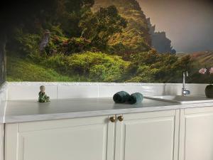 a kitchen counter with a painting on the wall at B&B Österlens RosenTrädgård in Glemmingebro +104 photos