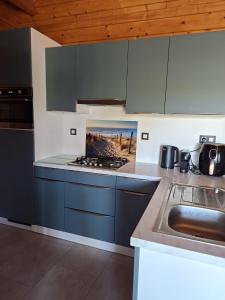 a kitchen with blue cabinets and a stove top oven at Oase van rust in Poortvliet