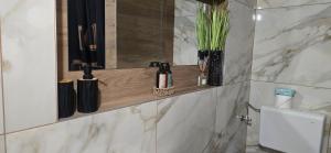 a bathroom with a shelf on the wall with bottles at Studio Apartment Loly in Nedeščina