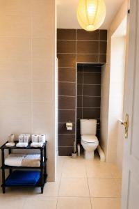 a bathroom with a toilet in a room at L'Escale de Bonny in Bonny-sur-Loire