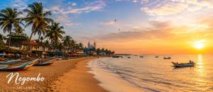 a beach with palm trees and boats in the water at Breeze 12 Villa in Negombo