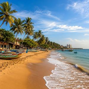 a beach with palm trees and boats on it at Breeze 12 Villa in Negombo