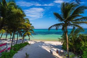 a beach with palm trees and the ocean at Luxury Beachfront 3BR Apt 102 | Neea Bahia Soliman in Balcheil