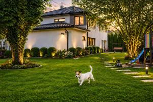 a dog running in the grass in front of a house at Lux Villa Waldenburg in Wałbrzych
