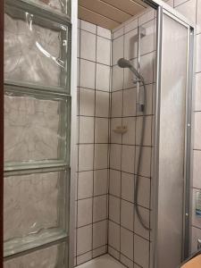 a shower with a glass door in a bathroom at Gutsweinschänke & Pension Müllers in Kröv