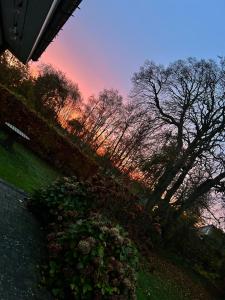 a group of trees with a sunset in the background at Eventyrborgen in Eskilstrup