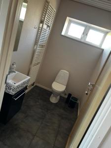 a bathroom with a toilet and a sink and a window at Eventyrborgen in Eskilstrup